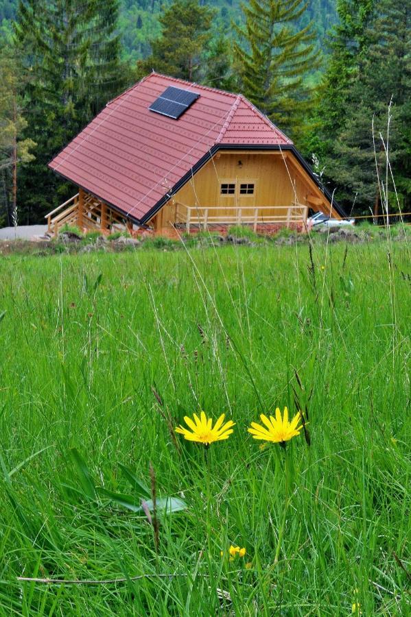 ホテル Kamp Beli Gaber Stari Trg pri Lozu エクステリア 写真